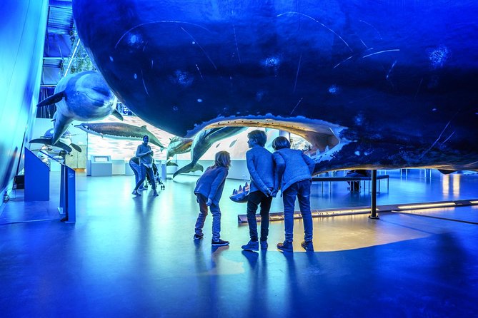 Whales Of Iceland Admission Ticket - Walking Into the Whale Museum: Models, Sounds, and Real Education