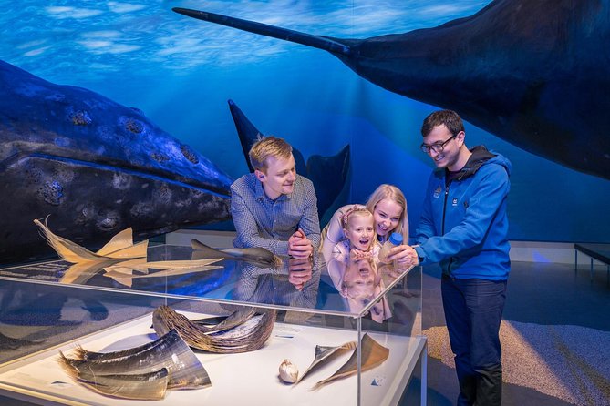 Whales of Iceland from Land and Sea - Price and value: what $120.15 buys you, realistically