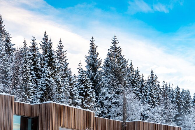 Winter Combo Godafoss Christmas House and The Forest Lagoon - Who this tour is best for (and who should consider a different option)