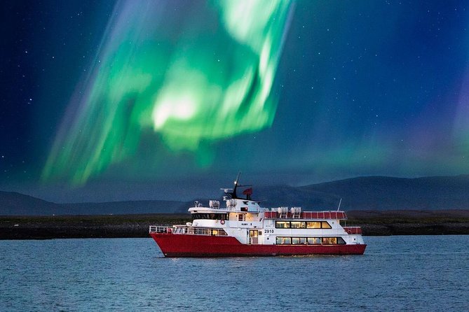 Winter Whale Watching and Northern Lights Cruise from Reykjavik - Why this winter combo makes sense in Reykjavik