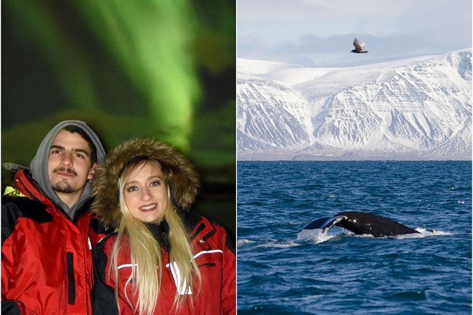 Winter Whale Watching and Northern Lights Cruise from Reykjavik - Wildlife Exhibition: a smart warm-up before you chase whales