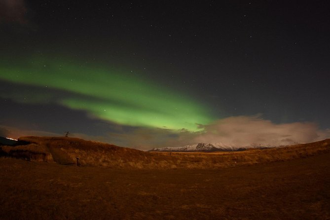 Winter Whale Watching and Northern Lights Cruise from Reykjavik - The afternoon whale watching: warmth, lounge comfort, and real odds